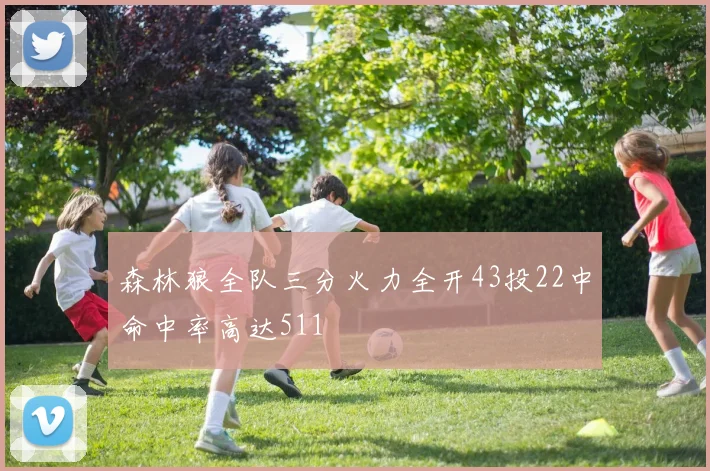 森林狼全队三分火力全开43投22中命中率高达511