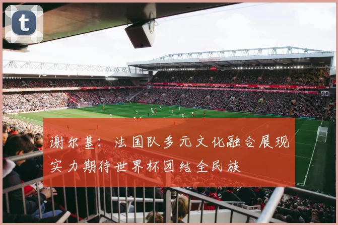 谢尔基：法国队多元文化融合展现实力期待世界杯团结全民族