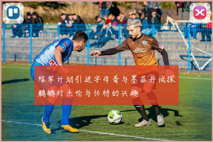 绿军计划引进字母哥与墨菲并试探鹈鹕对杰伦与怀特的兴趣